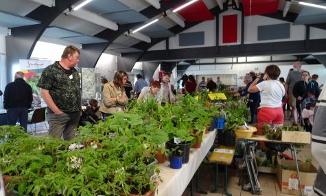 Bourse aux plantes 2022